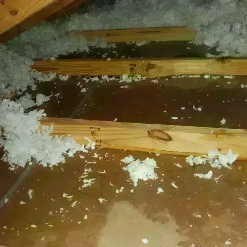 Attic Water Damage in Mansfield, MA